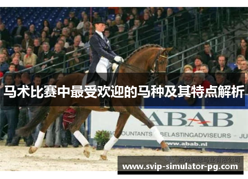 马术比赛中最受欢迎的马种及其特点解析